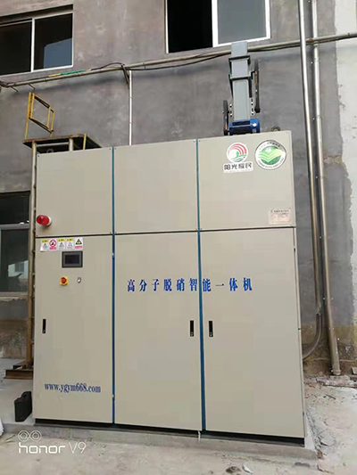 高分子脫(tuo)硝(xiao)設備